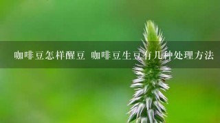 咖啡豆怎样醒豆 咖啡豆生豆有几种处理方法