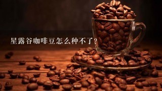 星露谷咖啡豆怎么种不了？