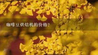 咖啡豆烘焙机的价格？