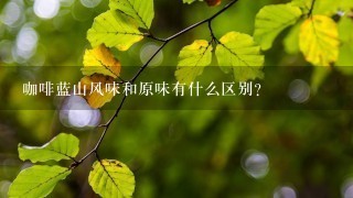 咖啡蓝山风味和原味有什么区别？