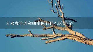 无水咖啡因和咖啡因有什么区别吗？