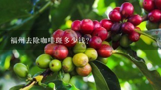 福州去除咖啡斑多少钱？