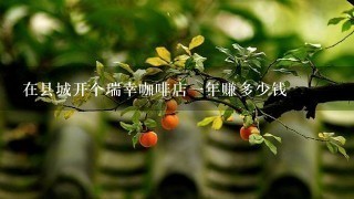 在县城开个瑞幸咖啡店一年赚多少钱