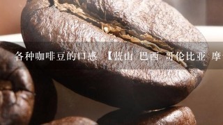 各种咖啡豆的口感 【蓝山 巴西 哥伦比亚 摩卡 曼特宁 炭烧 无因 麝香猫】