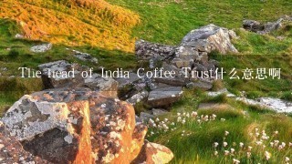 The head of India Coffee Trust什么意思啊