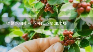 雀巢冰咖啡可不可以不要加冰块