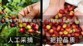 咖啡豆价格暴涨近50%，导致价格暴涨的原因是什么？