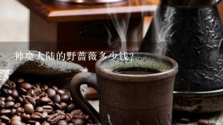 神魔大陆的野蔷薇多少钱？