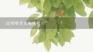 昆明哪里卖咖啡机？