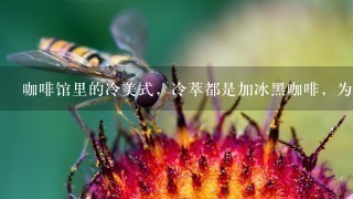 咖啡馆里的冷美式，冷萃都是加冰黑咖啡，为什么价格