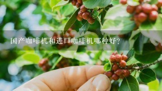 国产咖啡机和进口咖啡机哪种好？