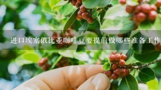 进口埃塞俄比亚咖啡豆要提前做哪些准备工作怎么报关