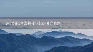 河北泡泡饮料有限公司介绍？