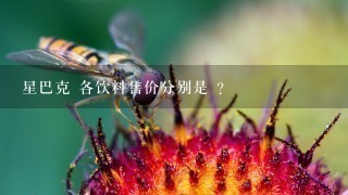 星巴克 各饮料售价分别是 ？