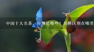 中国十大名茶，分别是哪些？具体区别在哪里？