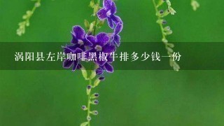 涡阳县左岸咖啡黑椒牛排多少钱一份