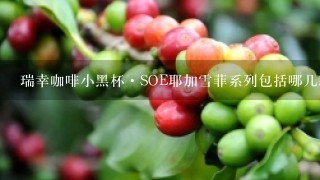 瑞幸咖啡小黑杯·SOE耶加雪菲系列包括哪几款？