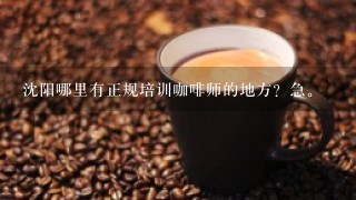 沈阳哪里有正规培训咖啡师的地方？急。