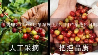 魏牌Coffee01巴黎车展上市，国产车是如何崛起的？