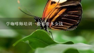 学咖啡师培训一般需要多少钱