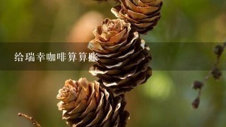 给瑞幸咖啡算算账