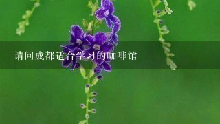 请问成都适合学习的咖啡馆