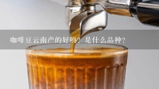 咖啡豆云南产的好吗？是什么品种？