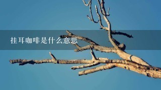 挂耳咖啡是什么意思