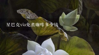 星巴克via免煮咖啡多少钱