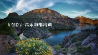 山东临沂鸿乐咖啡培训