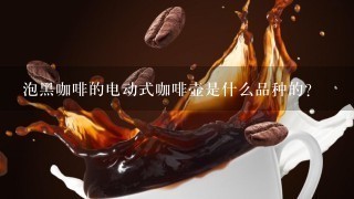 泡黑咖啡的电动式咖啡壶是什么品种的?