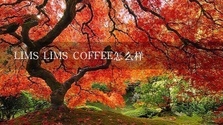 LIMS LIMS COFFEE怎么样