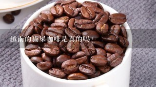 越南的猫屎咖啡是真的吗？