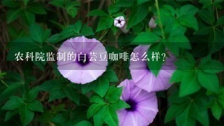 农科院监制的白芸豆咖啡怎么样?