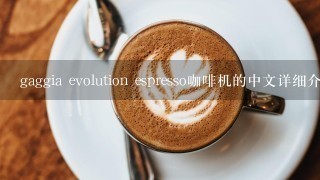 gaggia evolution espresso咖啡机的中文详细介绍和价格