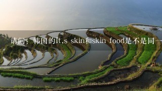 请问：韩国的It,s skin和skin food是不是同一个品牌?skin food的化妆品效果如何?