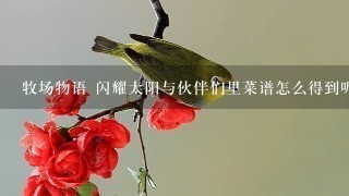 牧场物语 闪耀太阳与伙伴们里菜谱怎么得到呢?