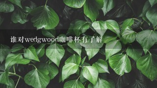 谁对wedgwood咖啡杯有了解