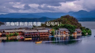 黑咖啡和普洱茶能一起喝吗？