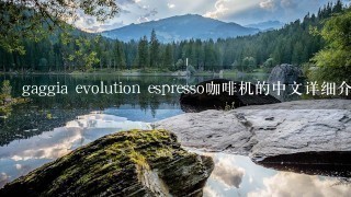 gaggia evolution espresso咖啡机的中文详细介绍和