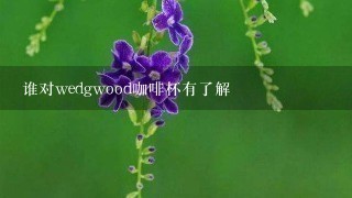 谁对wedgwood咖啡杯有了解