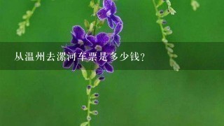 从温州去漯河车票是多少钱？