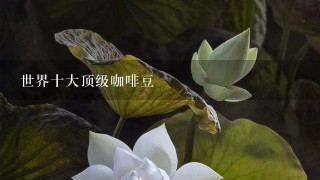 世界十大顶级咖啡豆