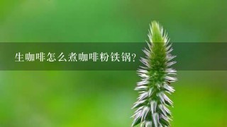 生咖啡怎么煮咖啡粉铁锅？