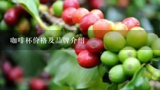 咖啡杯价格及品牌介绍