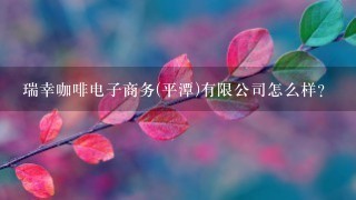 瑞幸咖啡电子商务(平潭)有限公司怎么样？