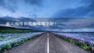 蓝山咖啡和黑咖啡哪个好？