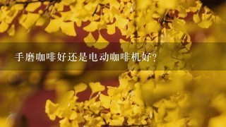 手磨咖啡好还是电动咖啡机好？