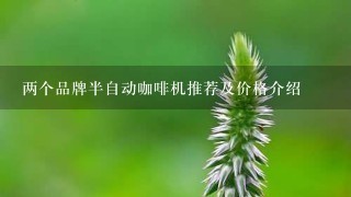 两个品牌半自动咖啡机推荐及价格介绍