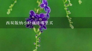 西双版纳小粒咖啡哪里买